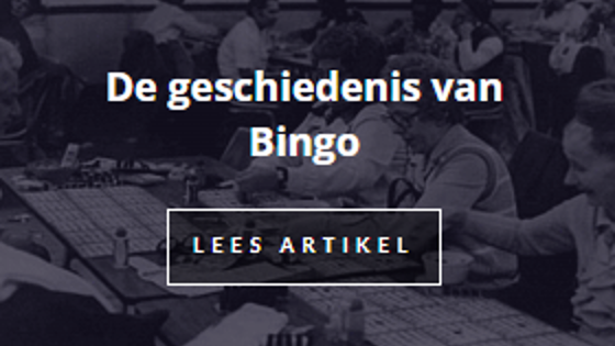 Geschiedenis van Bingo