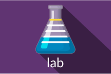 Lab