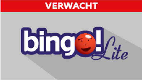 Bingo Lite